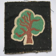 46th (North Midland) Infantry Division patch badge